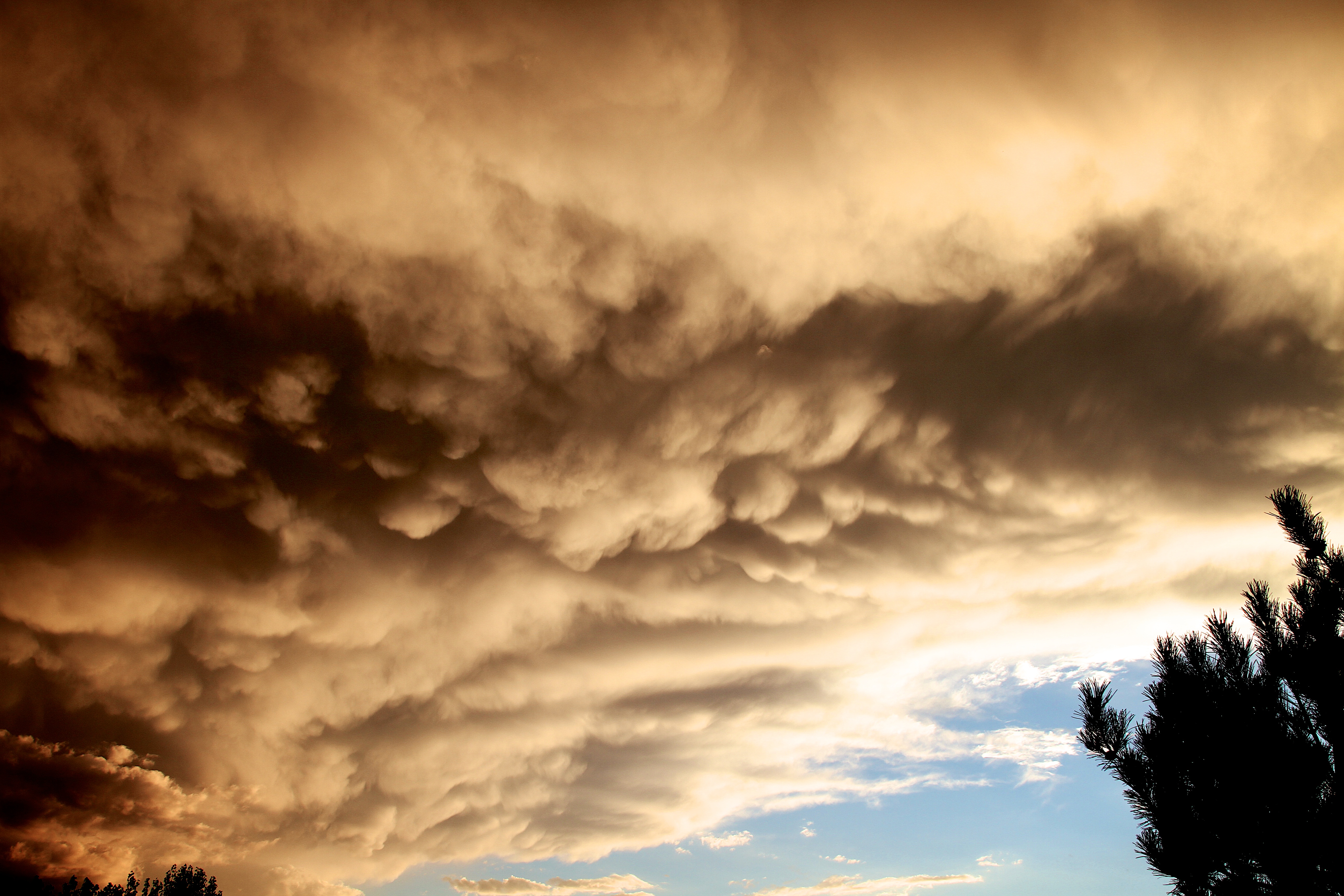 Curd Clouds