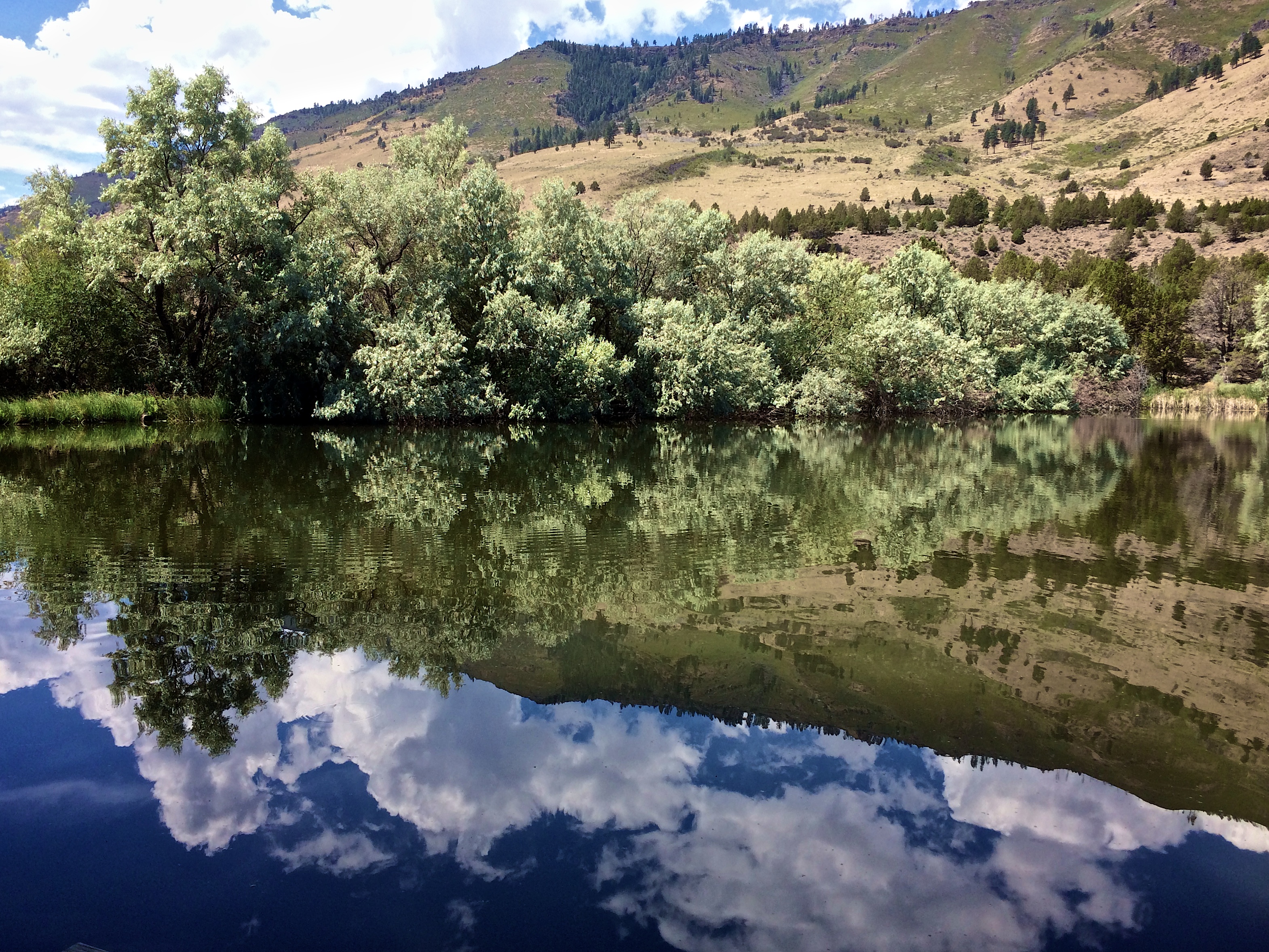 Pond - Eastern Oregon